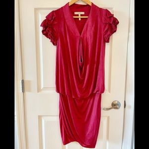 BCBG Runway Dress (Size XXS)